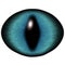 Strange blue eye of feline animal with colored iris. Detail view into isolated predator eye bulb