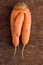 Strange carrot