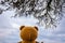 Strange Conceptual image of the head of a teddy bear contemplating the cloudy sky