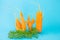 Strange funny shaped carrots on a blue background.