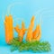 Strange funny shaped carrots on a blue background.