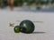 Strange green unknown object cast ashore by the ocean