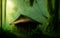 Strange houses in fantasy landscape of tropical jungle forest. Generative Al Illustration