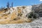 Strange landscape created by calcium carbonate from hot springs at Mammoth Falls