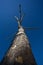 Strange leafless tree in sky