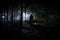 strange light in a dark forest at night. Silhouette of person standing in the dark forest with light. Dark night in forest at fog