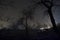 Strange light in a dark forest at night, spooky foggy landscape of trees silhouettes with light behind, mystical concept