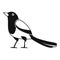 Strange magpie icon, simple style