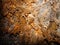 Strange microbial growths in the Lava Beds National Monument caves of the northern Sierra Nevadas
