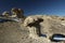 Strange Rock Formation in Bisti Badlands Valley of Dreams New Mexico