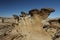 Strange Rock Formation in Bisti Badlands Valley of Dreams New Mexico