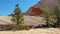 Strange Rock Formation and Checkerboard Mesa