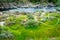 Strange Rocks and Green Grass at Knights Ferry