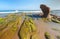 Strange rocks and moss at Co Thach beach