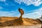 Strange rocks in Yehliu Geopark Park on the northern coast of Taiwan