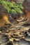 Strange sand rock formation of a coast