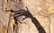 The strange shadow of one hand on an old stone wall. Black shadow, female hand.