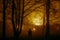 strange silhouette in a dark spooky forest at night, mystical landscape surreal lights with creepy man, fire burning