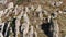 Strange stone formations on a hill. Shot. Aerial view.