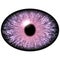 Strange un-human eye with shin pupil