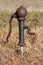 Strange and unusually shaped vintage retro partially rusted wrought iron dark green hand water pump mounted on water pipe