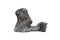 Strangely shaped rock stone for outdoor garden decoration.