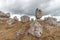 Strangely shaped rocks in the chaos of Nimes le Vieux in the Cevennes National Park