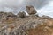 Strangely shaped rocks in the chaos of Nimes le Vieux in the Cevennes National Park