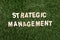 Strategic Management Wooden Sign On Grass