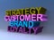 Strategy customer brand loyalty on blue