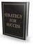 Strategy for success book