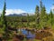 Strathcona Provincial Park, Vancouver Island, Fall Landscape on the Forbidden Plateau, British Columbia, Canada