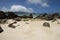 Stratified calcarenite at Lagoon Beach Lord Howe Island