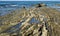 Stratified rocky shoreline at Crystal Cove State Park, Southern California.