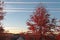 Stratus Clouds fill the Blue skyline in Northern NJ.