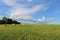 Straw bale on green meadow with blue sky and forest on left side