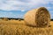 Straw bale harvest at the field