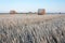 Straw bale / hay stack on golden sunny day with clear sky