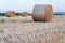 Straw bale / hay stack on golden sunny day with clear sky