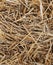 Straw Bale Texture