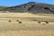 Straw bales in cornfield in rural landscape