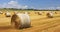 Straw Bales Dotting a Harvested Field, Symbolizing Agricultural Prosperity