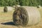 Straw bales drying on the field