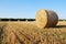 Straw bales on farmland