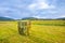 Straw bales in a field