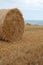 Straw bales in a field.