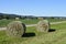 Straw bales in the field collecting during harvesting in Switzerland countryside during sunny day