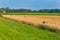 Straw bales in the field ready for transport