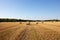 Straw bales on the field under blue sky with white clouds