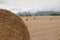 Straw bales in the fields. Farmland